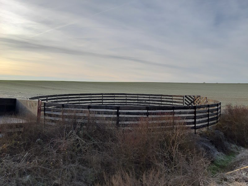 Ecurie des 4 chemins - photo 3