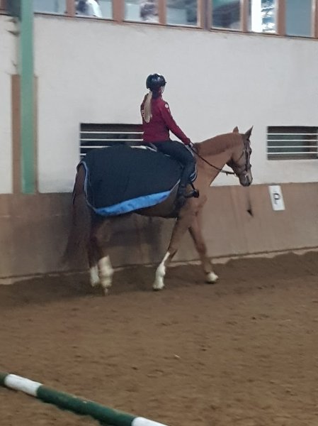 Centre Equestre de Mairy - photo 1