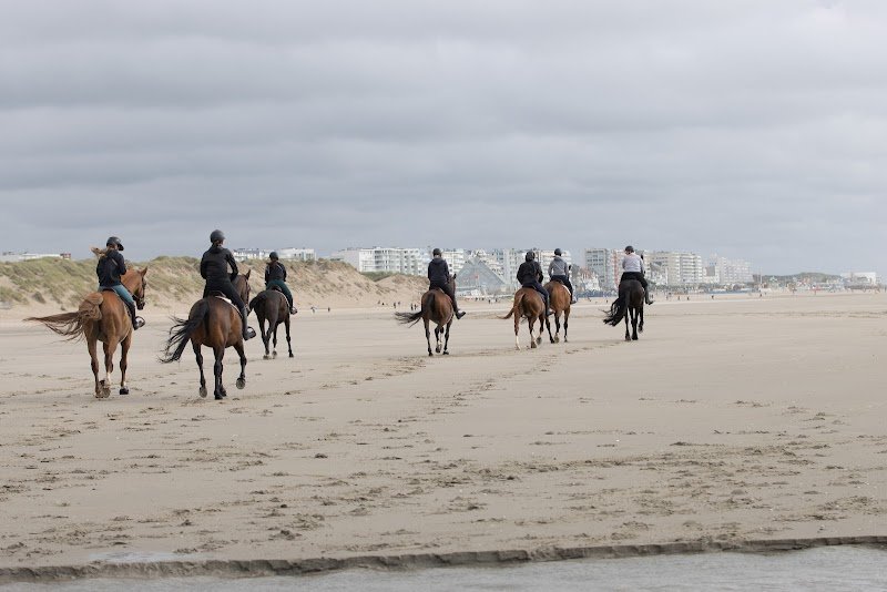 Centre Equestre de Mairy - photo 3