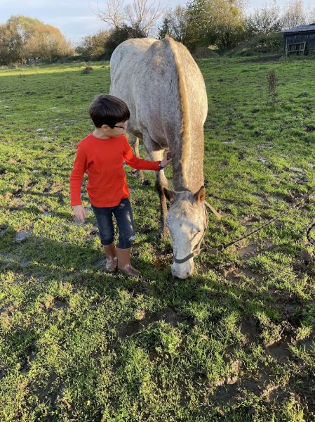 Ecurie active du moulin aux près - photo 3
