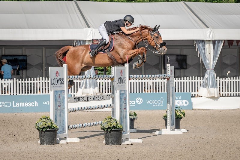 Écurie Marléa - Sport, Coaching & Élevage éthique - photo 2