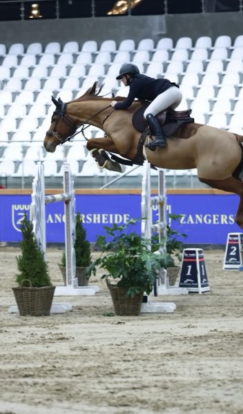 Écurie Marléa - Sport, Coaching & Élevage éthique - photo 3