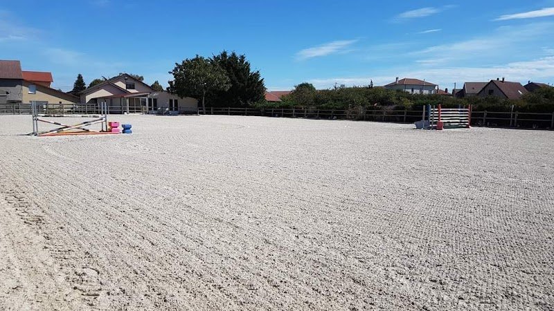 SCEA Ferme Equestre Des Chenes / Ecurie des Chênes - photo 1