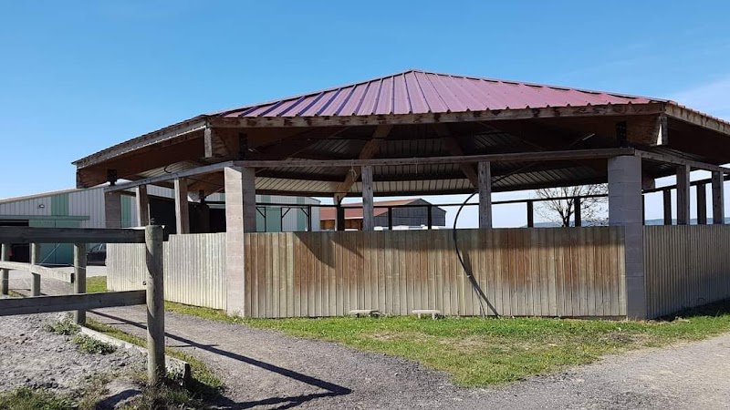 SCEA Ferme Equestre Des Chenes / Ecurie des Chênes - photo 2