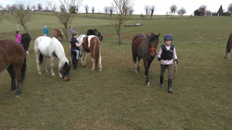 Ferme équestre du Vieux Fey - photo 3