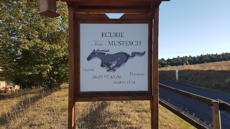Ecurie Mustesch - photo 1