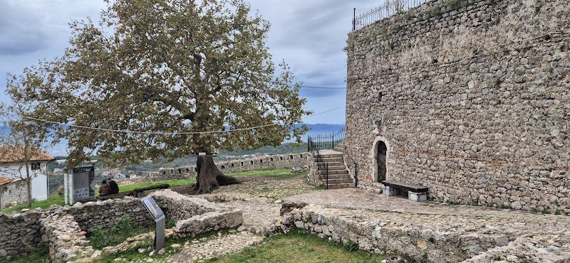 CENTRE ÉQUESTRE LITTLE COWBOY - photo 2