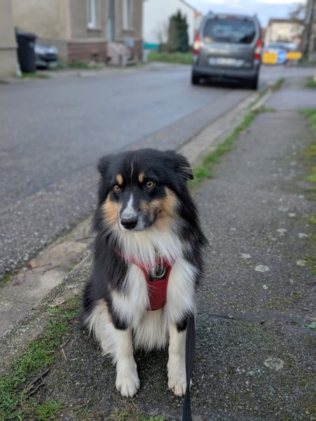 Pension aux couleurs de sepoura - photo 3