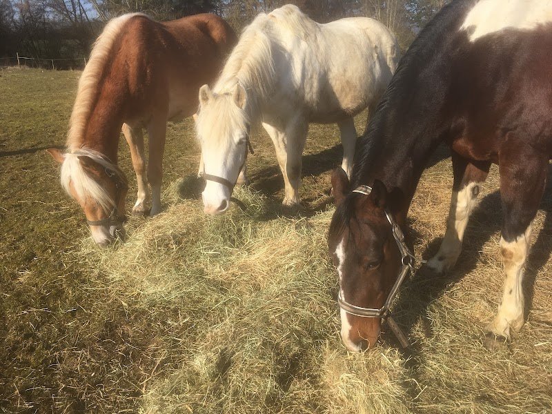 Les écuries de Soetrich - photo 1