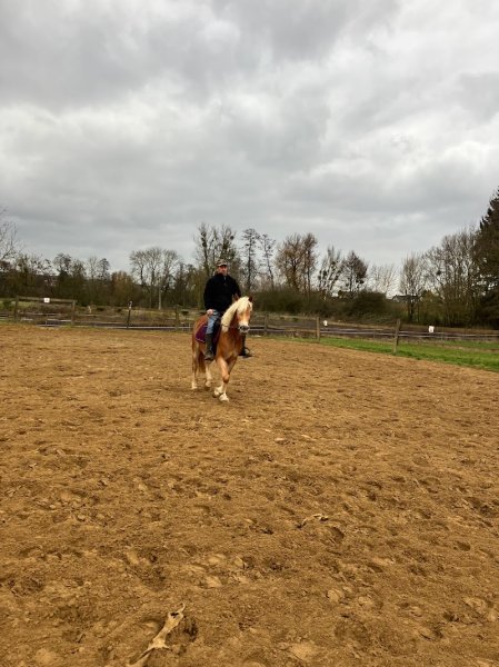 Les écuries de Soetrich - photo 3