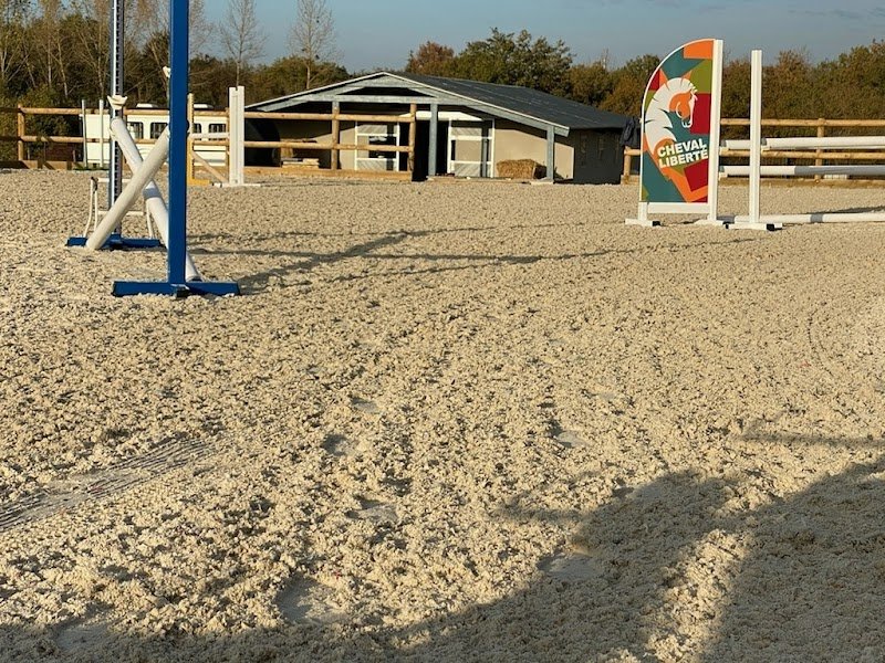 Ecurie d'Ace - photo 1