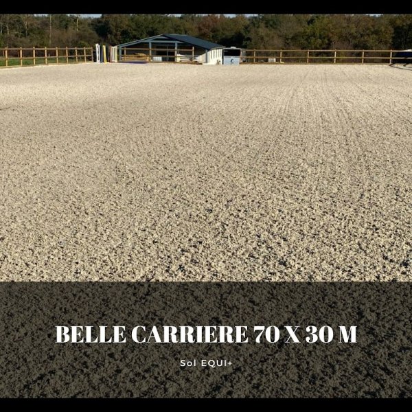 Ecurie d'Ace - photo 2