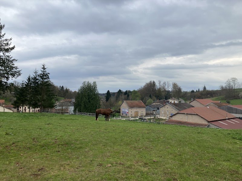 Ferme Equestre - photo 1