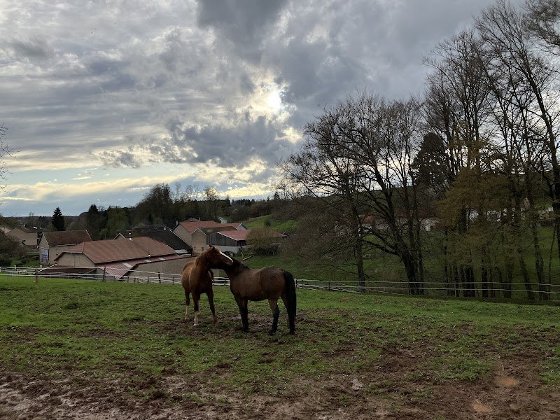 Ferme Equestre - photo 2