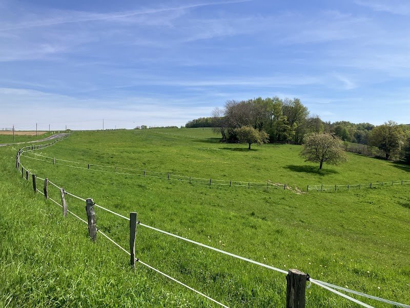 Ferme Equestre - photo 3
