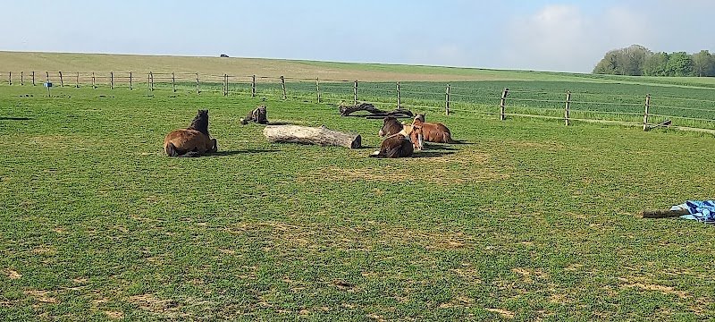 Ecurie du Brame - photo 2