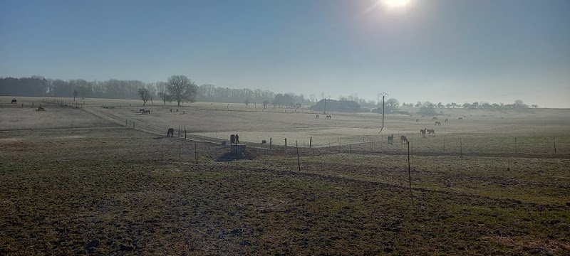 Ecurie du Brame - photo 3