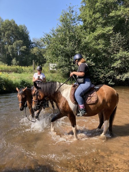 Ecurie des Sagards - photo 1
