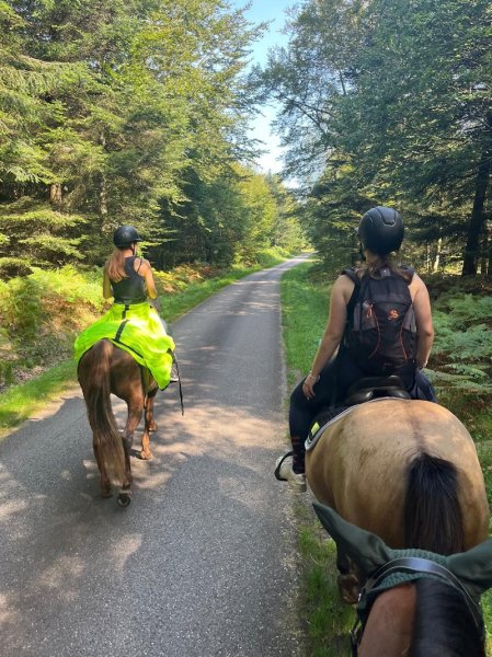 Ecurie des Sagards - photo 3