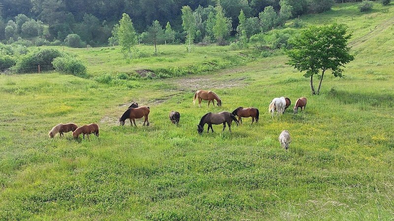 Ferme équestre de la Tuilerie - photo 1