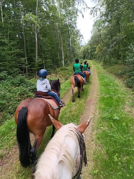 Ferme équestre de la Tuilerie - photo 3