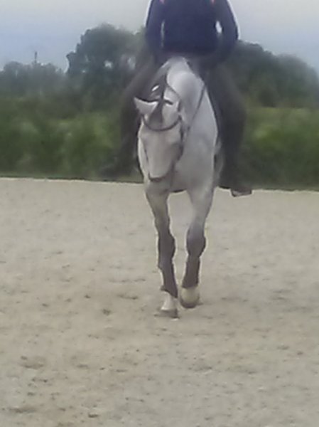 Ecurie Lorrain - photo 1