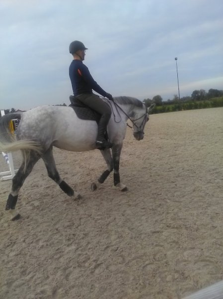 Ecurie Lorrain - photo 2