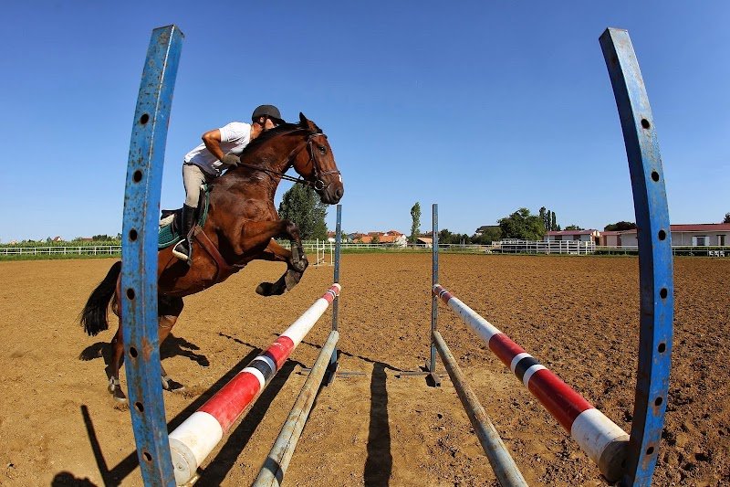 centre equestre du Quoiré Trieux - photo 2