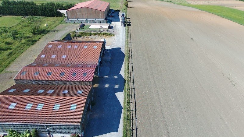 Ecurie Fée Thélème - photo 1