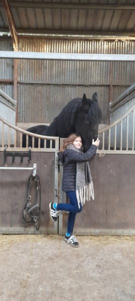 Ecurie Baggi - photo 1