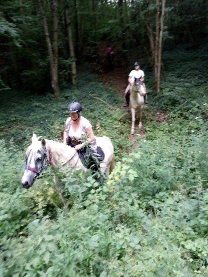 Au cheval d'Avril - photo 3