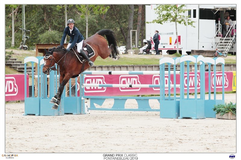 Haras de Luppy - photo 2