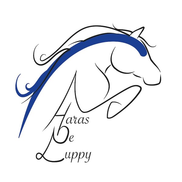 Haras de Luppy - photo 3