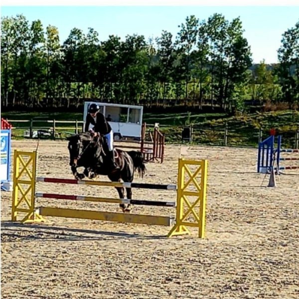 Centre équestre La Galopade - photo 1