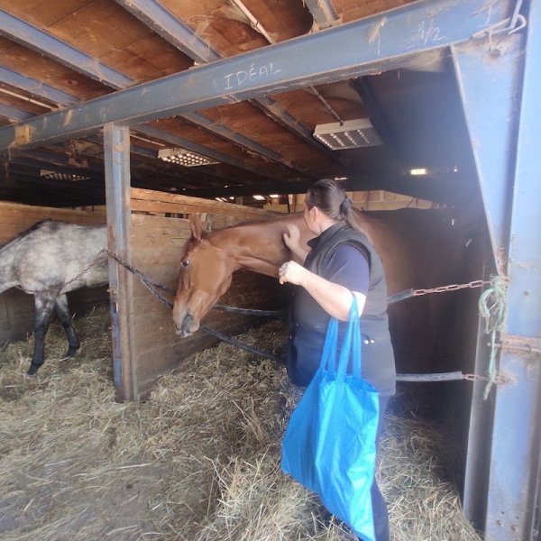 Centre équestre La Galopade - photo 2