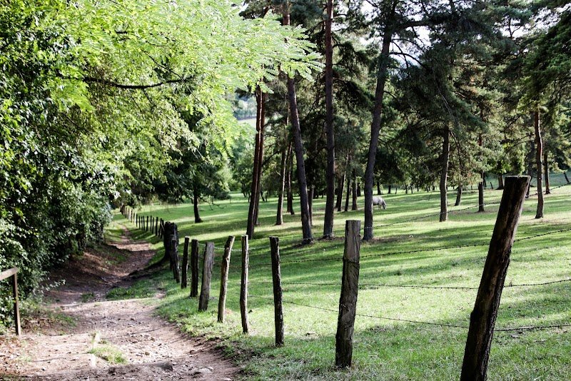 Ecurie Delorme - photo 3