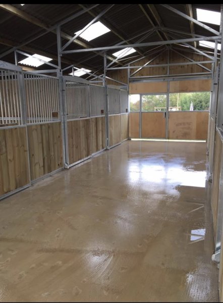 Haras du Rucher - photo 3