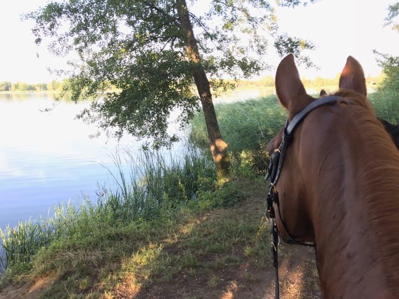 Le Haras de Diane - Centre équestre