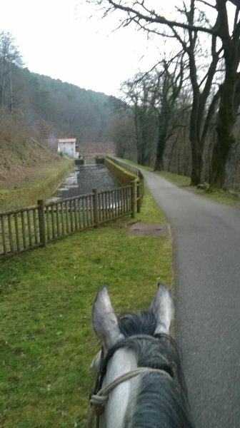 Ecurie des Amazones - photo 2