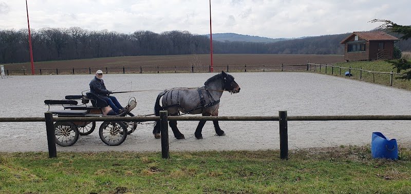 Haras de la Vannoue - photo 2