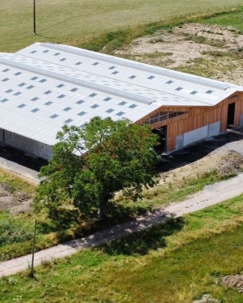 Écurie des Iris - Dpl coaching - photo 1