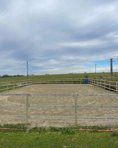 Écurie des Iris - Dpl coaching - photo 2