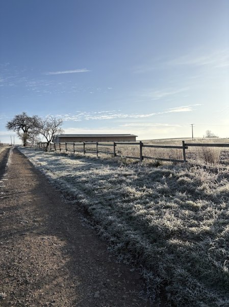 Écurie des Iris - Dpl coaching - photo 3
