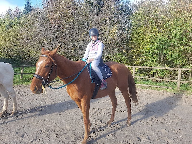 Centre Équestre du Haut Bois (Center Parc) - photo 1