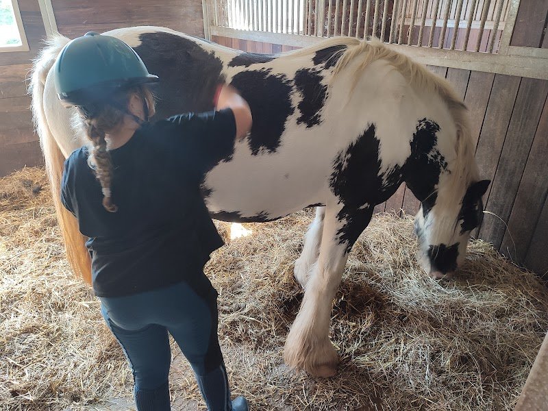 Centre Équestre du Haut Bois (Center Parc) - photo 2