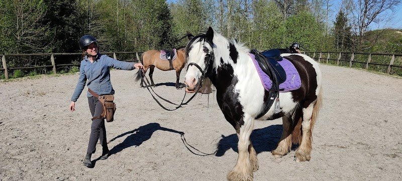 Centre Équestre du Haut Bois (Center Parc) - photo 3