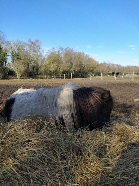 Les Ecuries du O'TAKEY