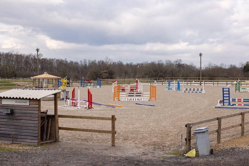 Cheval sport passion