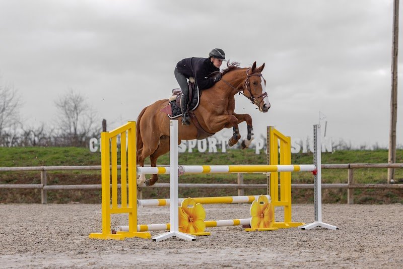 Cheval sport passion - photo 2