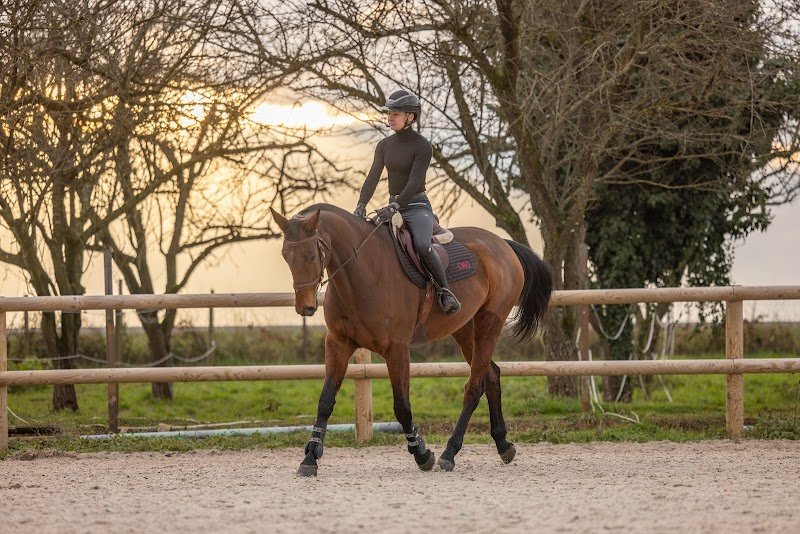 Cheval sport passion - photo 3